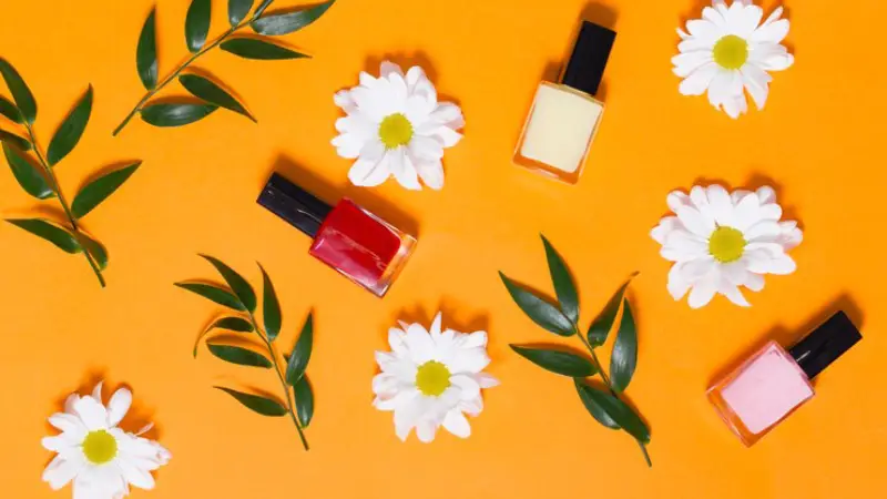 💄 ویما شاپ جایی که زیبایی آغاز میشود!